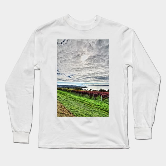 Autumn at Lake Constance, Germany Long Sleeve T-Shirt by holgermader